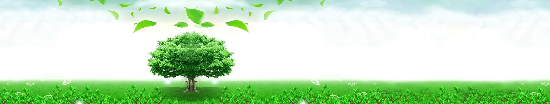 حول بنا